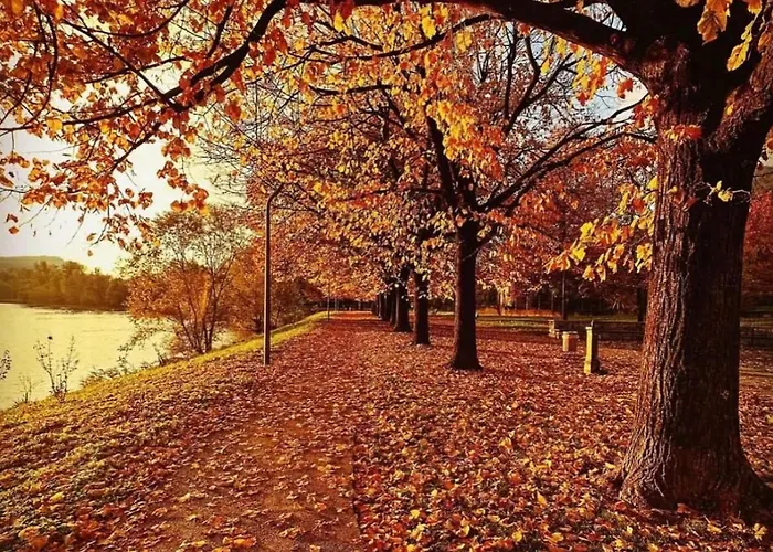 Apartment Residenza Letizia Olginate