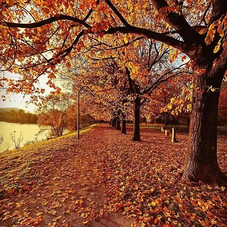 Lägenhet Residenza Letizia Olginate